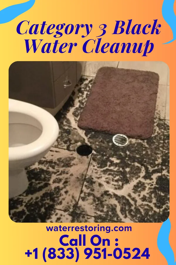 Category 3 Black Water Cleanup in Owatonna, MN