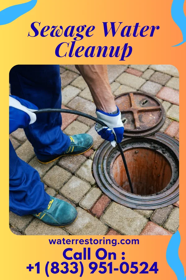 Sewage Water Cleanup in Owatonna, MN
