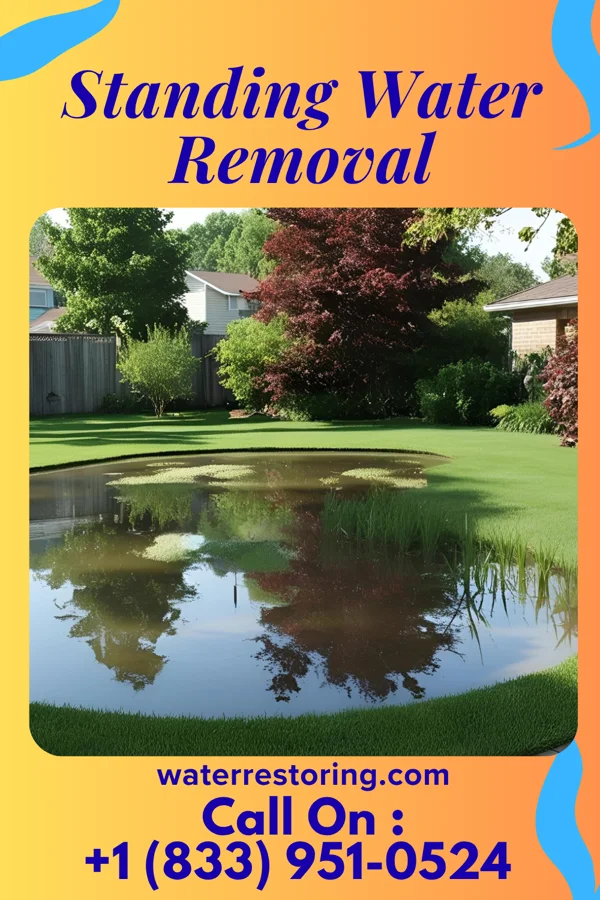 Standing Water Removal in Owatonna, MN